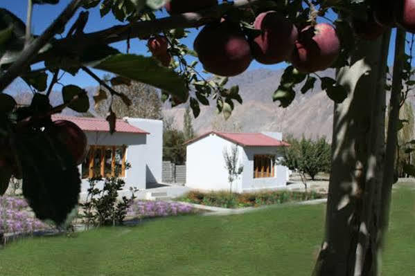 Himalayan Eco Resort Hundar Exteriör bild